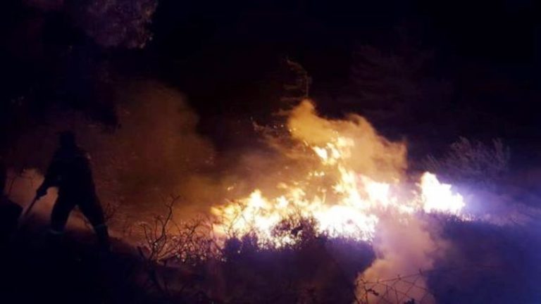 Μέτρα υπέρ των πληγέντων της Εύβοιας και Χίου, ζητά η ΕΣΕΕ