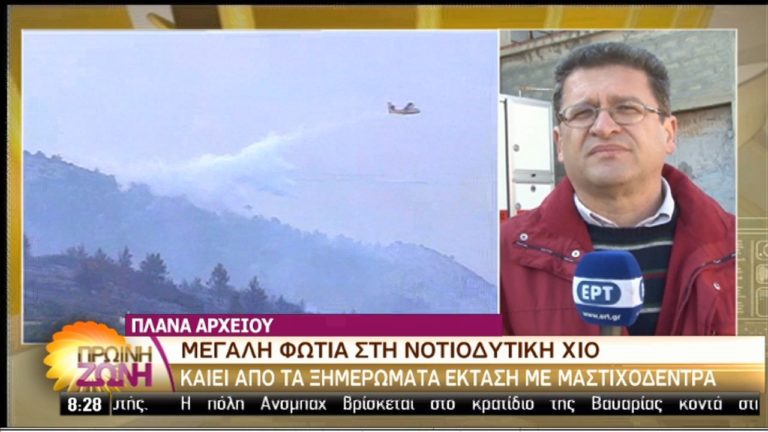Σε εξέλιξη μεγάλη πυρκαγιά στη Χίο (video)