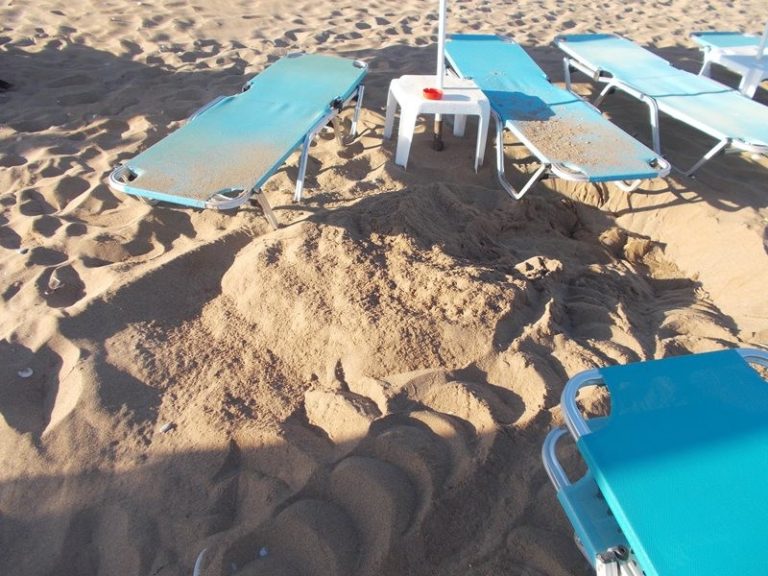 Κρήτη: Μειώνονται οι φωλιές της caretta – caretta