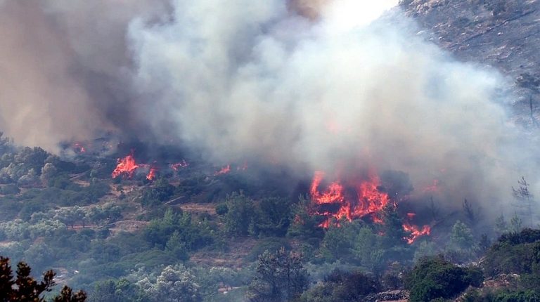 Αποκαΐδια αφήνει πίσω της η μεγάλη φωτιά στη Χίο-Τεράστιες καταστροφές στα μαστιχόδεντρα (video)