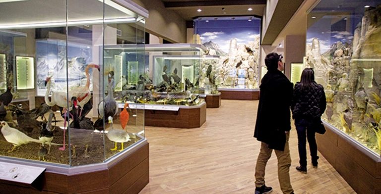 Χωρίς στέγη κινδυνεύει να μείνει το Μουσείο Φυσικής Ιστορίας Βόλου