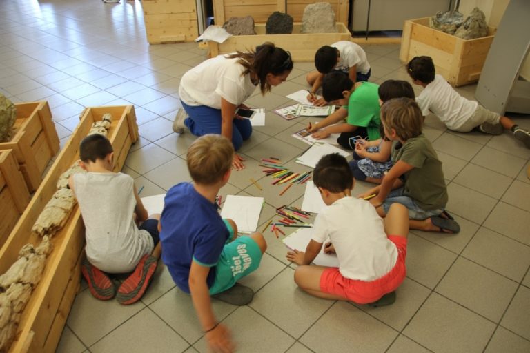 Λέσβος: Καλοκαιρινή εκπαιδευτική δραστηριότητα στην έκθεση «Το δάσος κάτω από τον δρόμο»