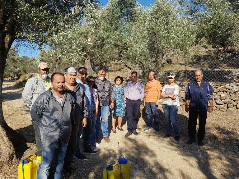 Βόρειο Αιγαίο: Σε εξέλιξη η δακοντονία σε Λέσβο και Σάμο