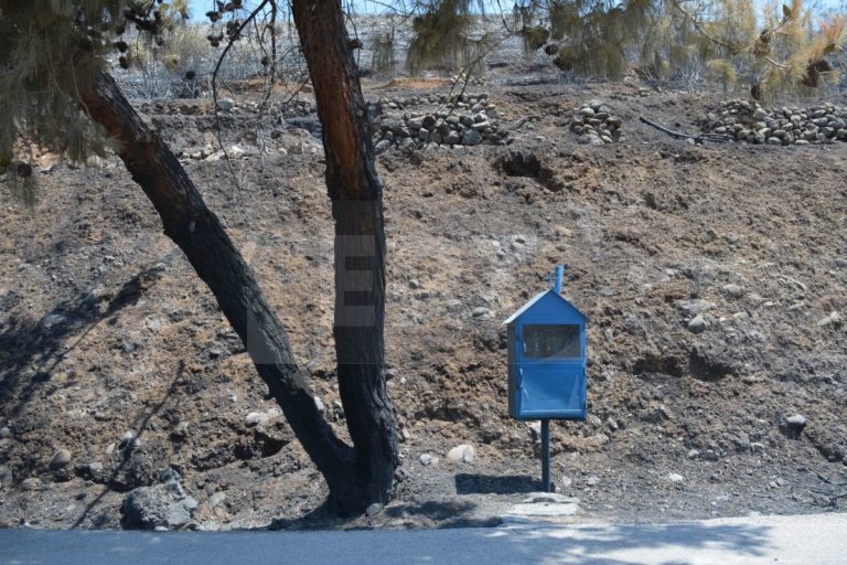 Χίος: Υπέρ πυρόπληκτων Μαστιχοχωρίων το 10% του Εράνου Αγάπης