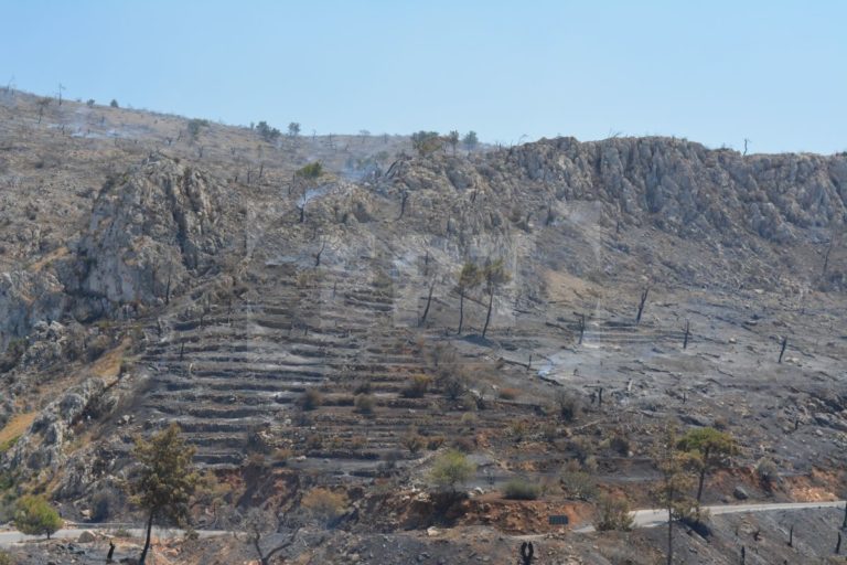 Χίος: Κλιμάκιο της ΝΔ στα πυρόπληκτα χωριά της μαστίχας