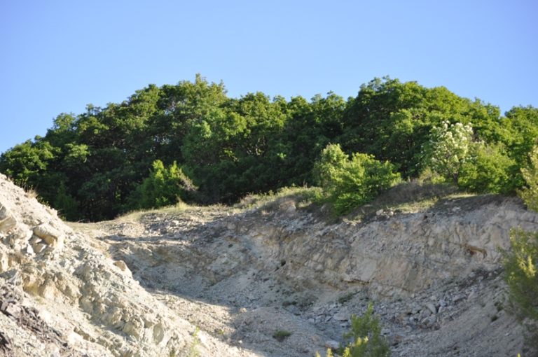 Eταιρικό σχήμα κατοίκων για την εκμετάλλευση του ζεόλιθου Πετρωτών