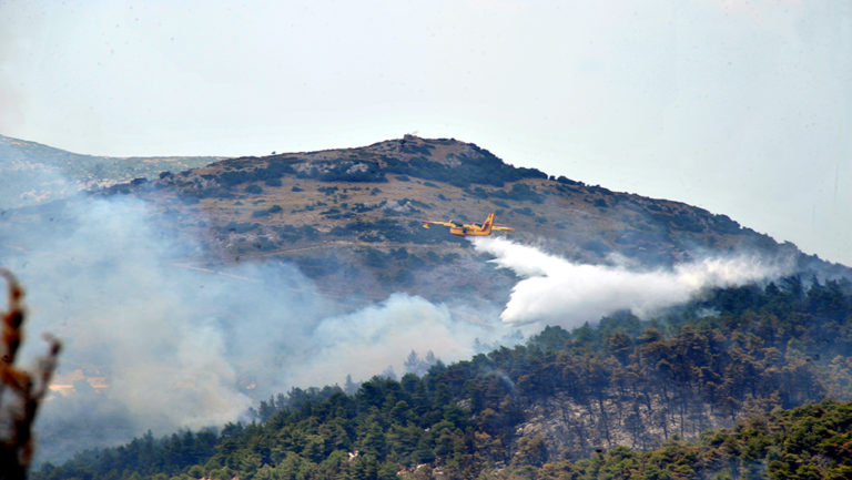 Σε ύφεση η πυρκαγιά στη θέση Σίνα Γυθείου