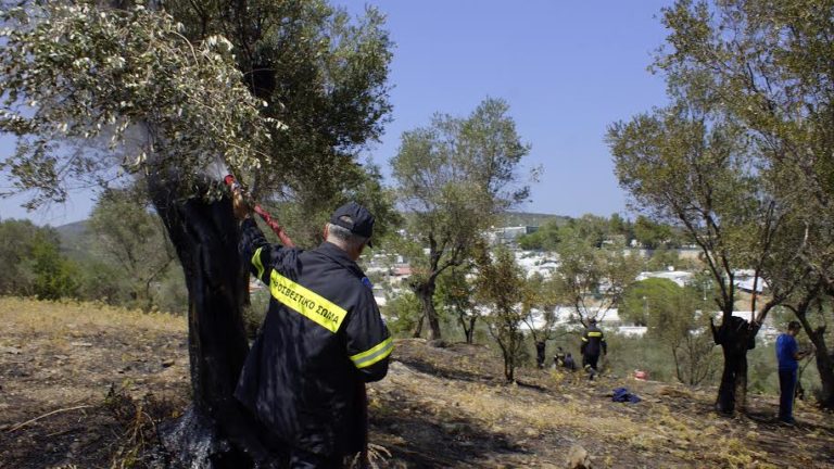 Λέσβος: Μικρή φωτιά δίπλα στο hot spot Μόριας