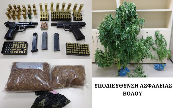 Βόλος: Πατέρας και γιος κατείχαν όπλα και δενδρύλλια χασίς σε μαντρί