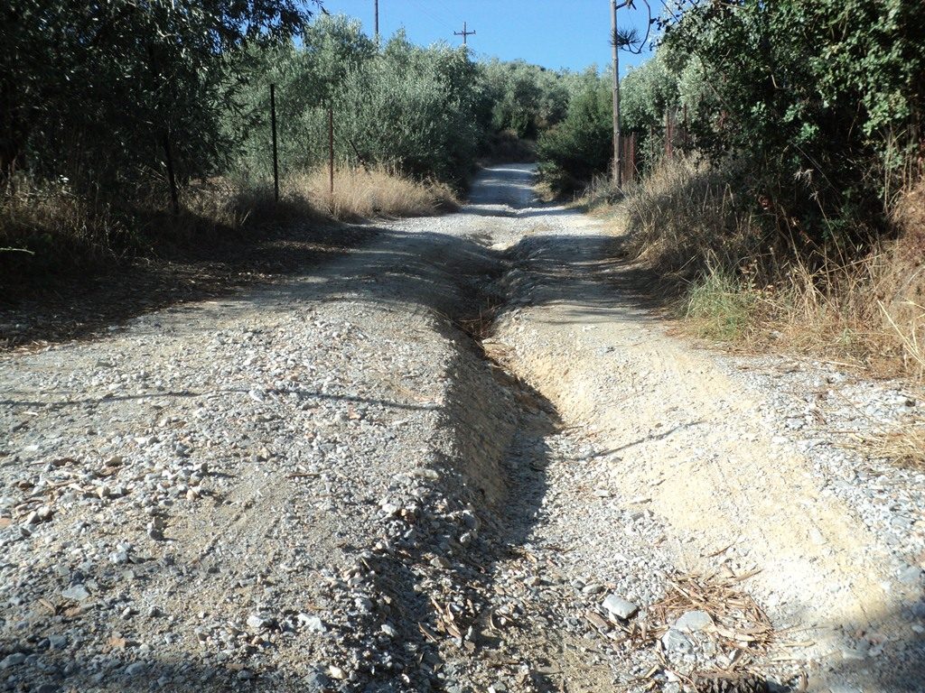 DSC00691