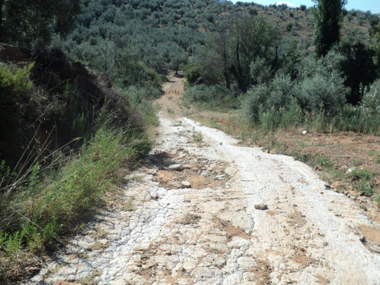 Βόλος: Αδιάβατοι οι αγροτικοί δρόμοι στον Πτελεό