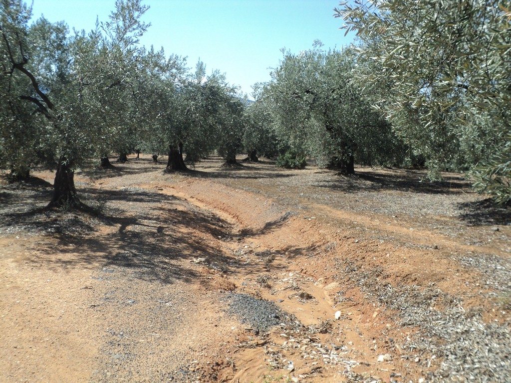 DSC00702