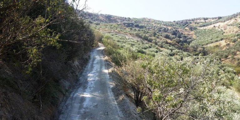 Εργασίες βελτίωσης του αγροτικού οδικού δικτύου