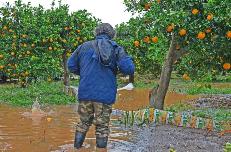 Περισσότερα από 100 εκατ. ευρώ, σε 100.000 δικαιούχους αγρότες