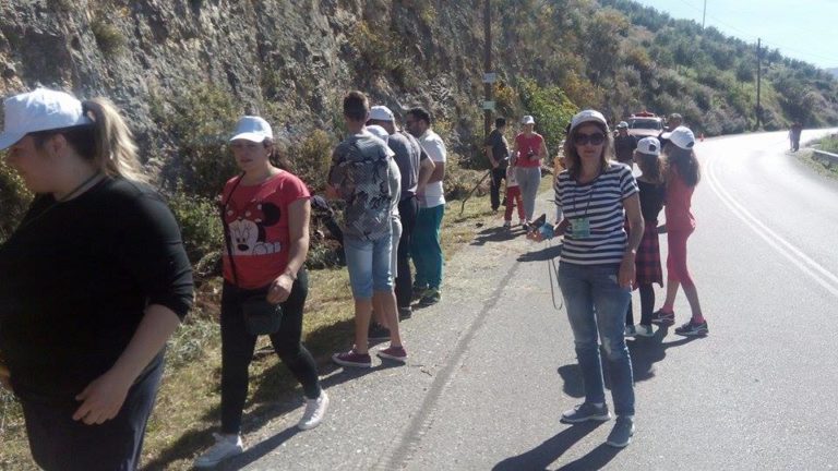 Πύργος:Εκοψαν τα δένδρα στη Φιγαλεία
