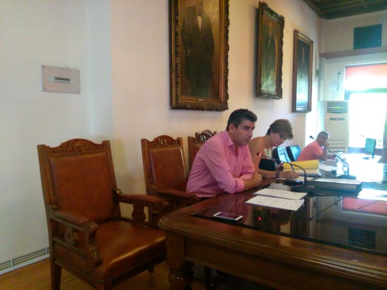 Βόλος: Κλαδεύεται πλάτανος που ενοχλούσε δημότη