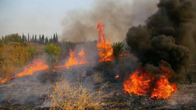 Σύλληψη 43χρονου για τη φωτιά στις Αιγές Ακράτας
