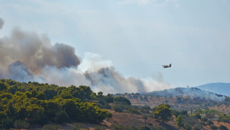 Σε ύφεση η πυρκαγιά στο Θύνι Αργολίδας