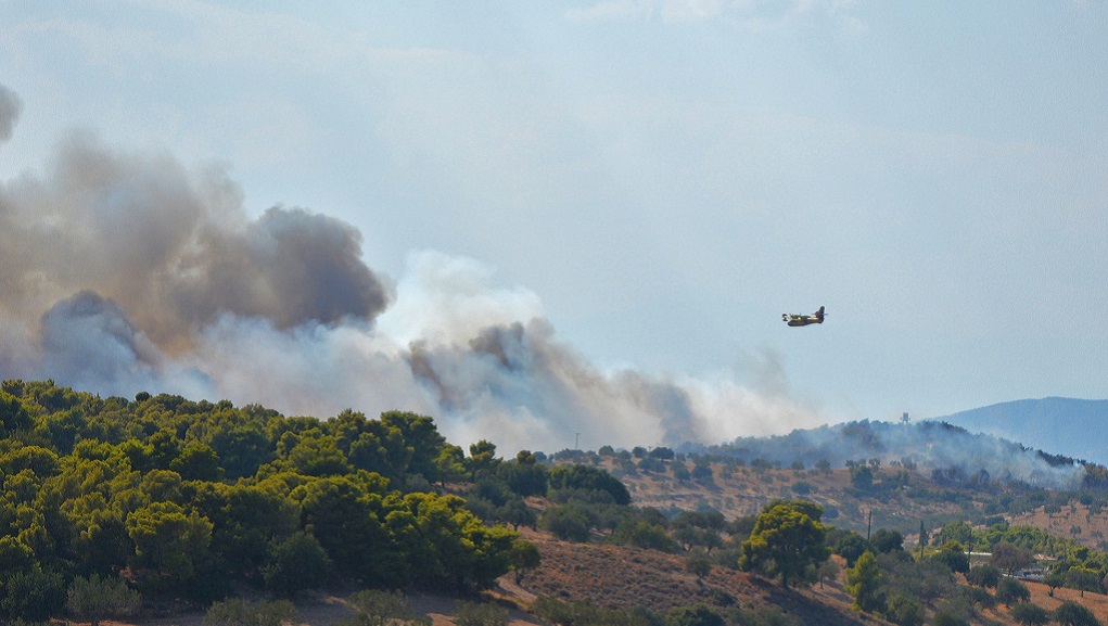 Βόλος: Σε εξέλιξη η πυρκαγιά στην Σκιάθο