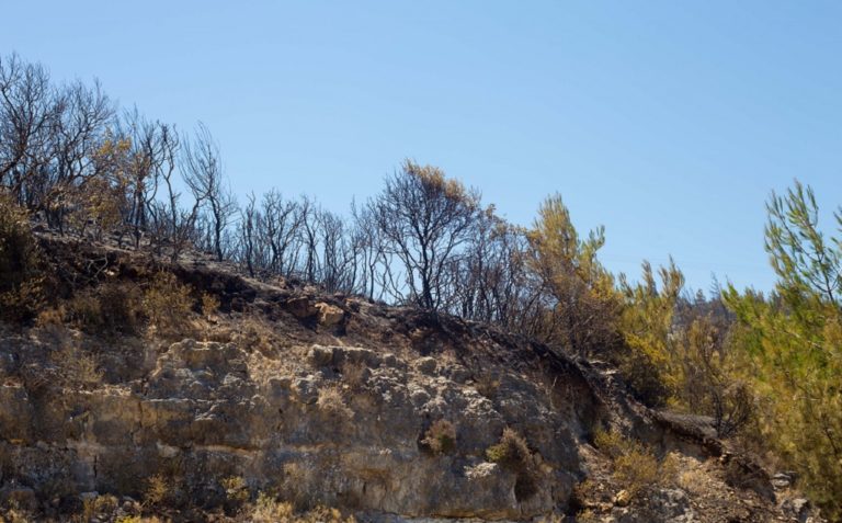 Χίος: Συντήρηση οδικού δικτύου στα καμμένα