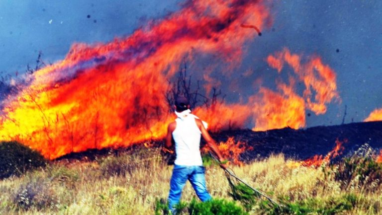 Πυρκαγιές σε Πούντα Αιγιαλείας – Μάρμαρα Αιγείρας