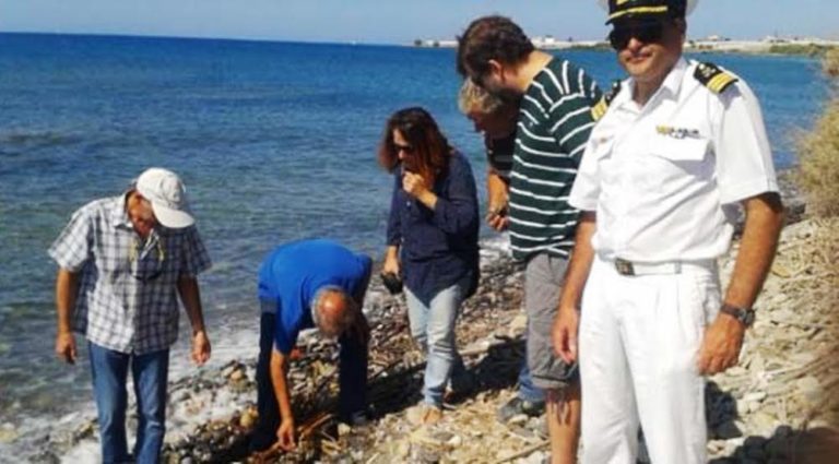 Βρέθηκε και άλλος αμφορέας με οστά