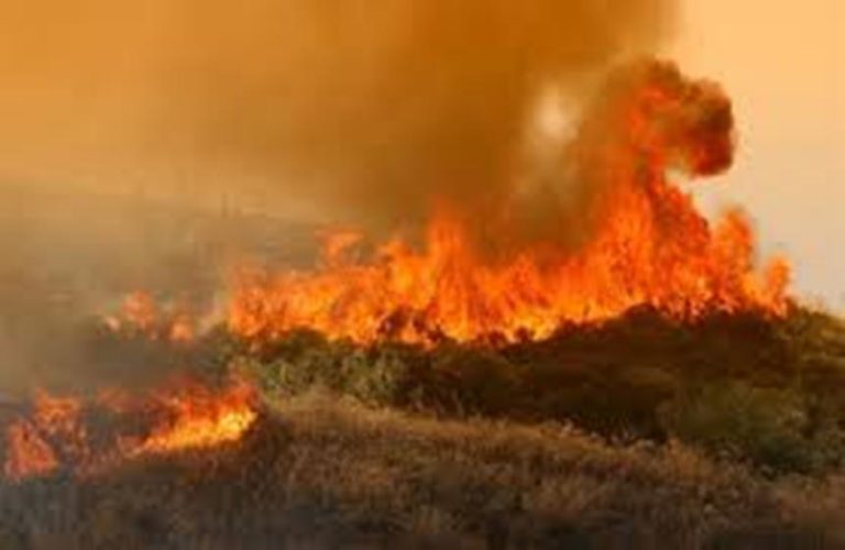 Υπό έλεγχο η πυρκαγιά στη Μάνδρα Σουφλίου
