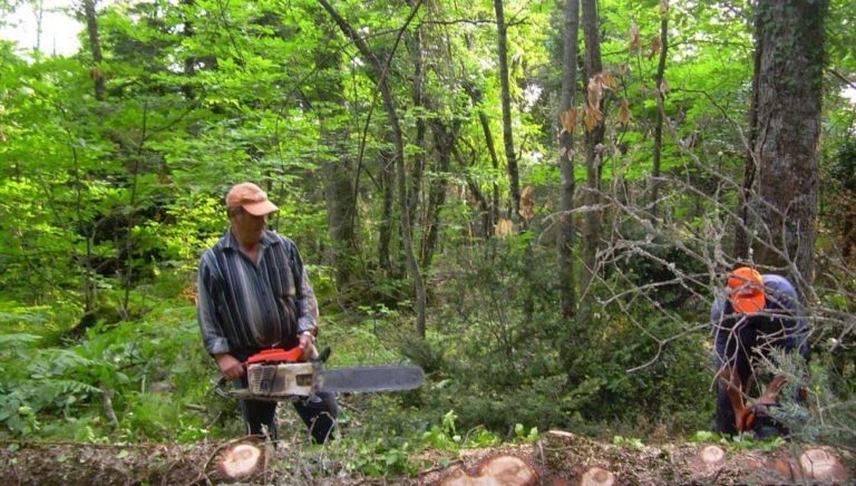 Απασχόληση σε 50 οικογένειες προσφέρει ο Δήμος Ν. Πηλίου