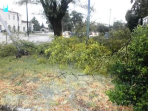 Εικόνες βιβλικής καταστροφής από την έντονη κακοκαιρία στα Τρίκαλα