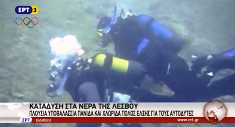 Πόλος έλξης για τους δύτες η Λέσβος (video)