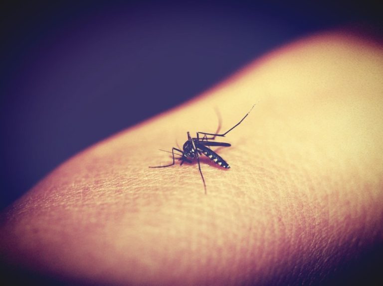 Ν. Καμπάνης: Ελεγχόμενα τα «εισαγόμενα» κρούσματα ελονοσίας (audio)