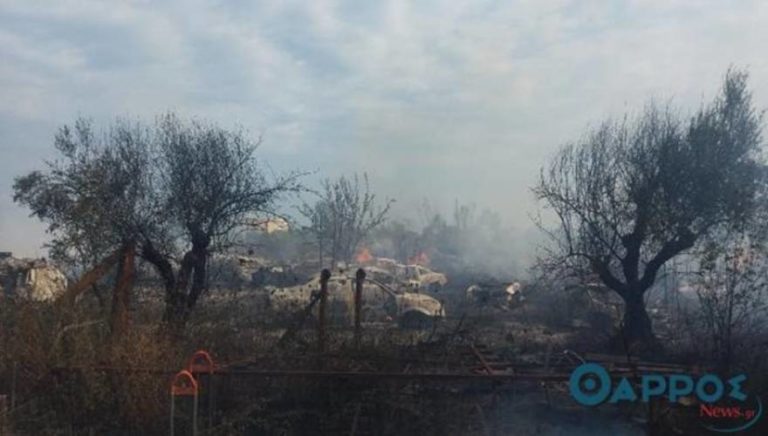 Καλαμάτα: Φωτιά στο Ασπρόχωμα, απείλησε επιχειρήσεις