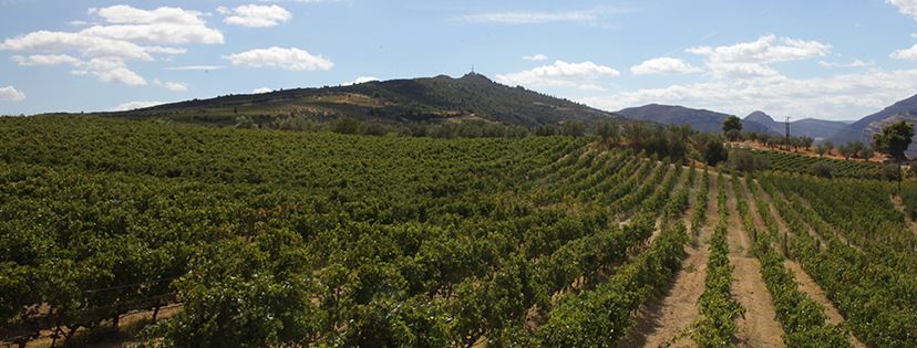 Οι Μεγάλες Μέρες της Νεμέας