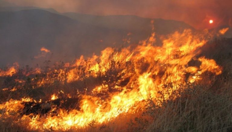 Διδυμότειχο: 150 στρ. έκαψε η φωτιά στη νότια έξοδο