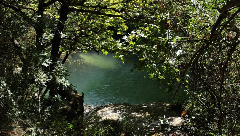 Το Πολυλίμνιο είχε απασχολήσει το Δημοτικό Συμβούλιο Μεσσήνης