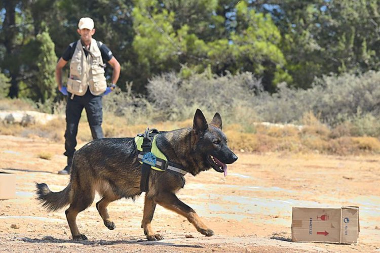 Οι φύλακες άγγελοι της κρητικής πανίδας – Οι ανιχνευτές των δηλητηριασμένων δολωμάτων