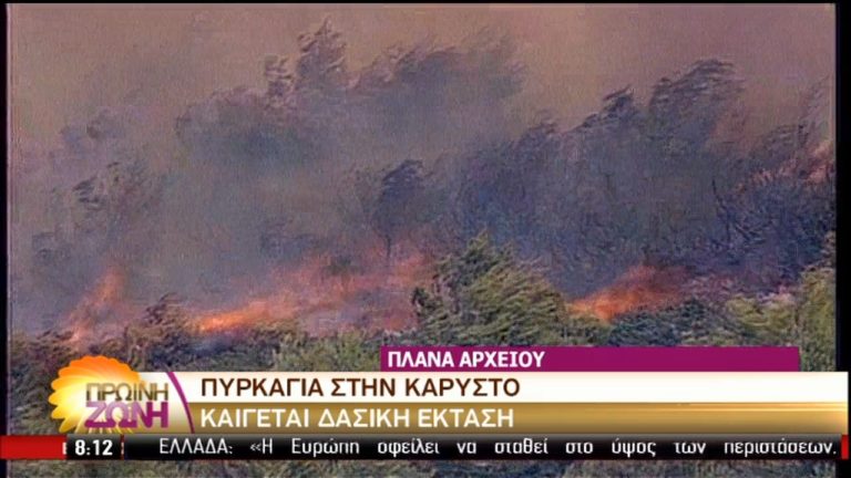 Σε εξέλιξη νέες πυρκαγιές στην Εύβοια (video)