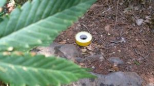 thumbnail_image-0-02-01-e882e60e564ada44f94902e7600ea6cbb58c349ec911f9cc4df7a1894f0ff33d-V