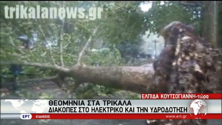 Προβλήματα από τη θεομηνία στα Τρίκαλα – Ξεριζώθηκαν δέντρα (video)