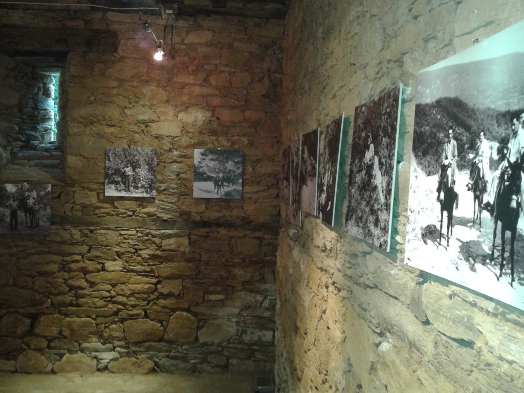 zagora 3