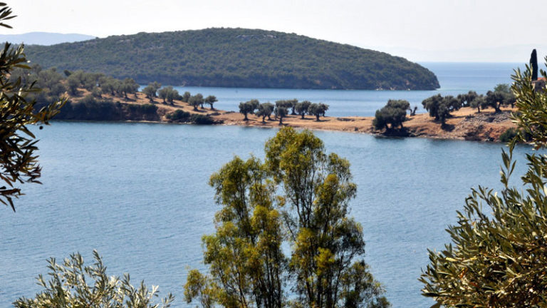 Βόλος: Διάρρηξη σε σπίτι 84χρονης στον Αλατά Μηλίνας
