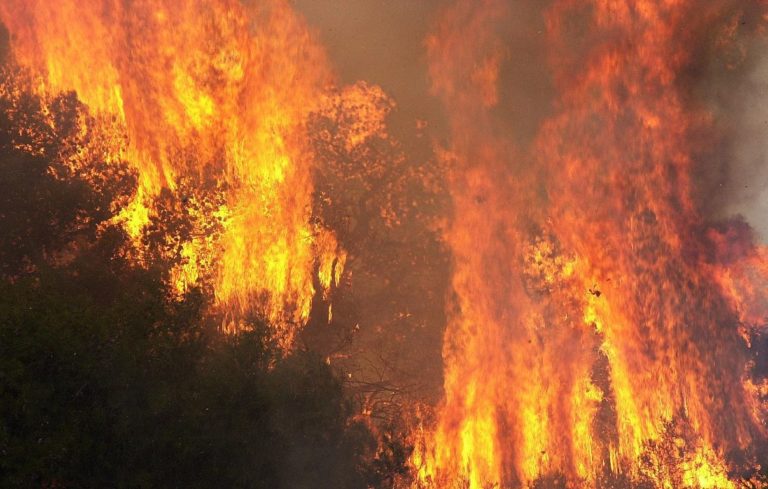 Πυρκαγιά έκαψε δασώδη έκταση στη Βρύναινα Αλμυρού