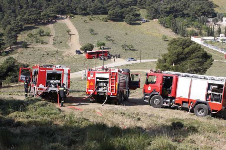 Σε εξέλιξη η πυρκαγιά σε Σούλι – Στεφανιά του Δ. Ευρώτα