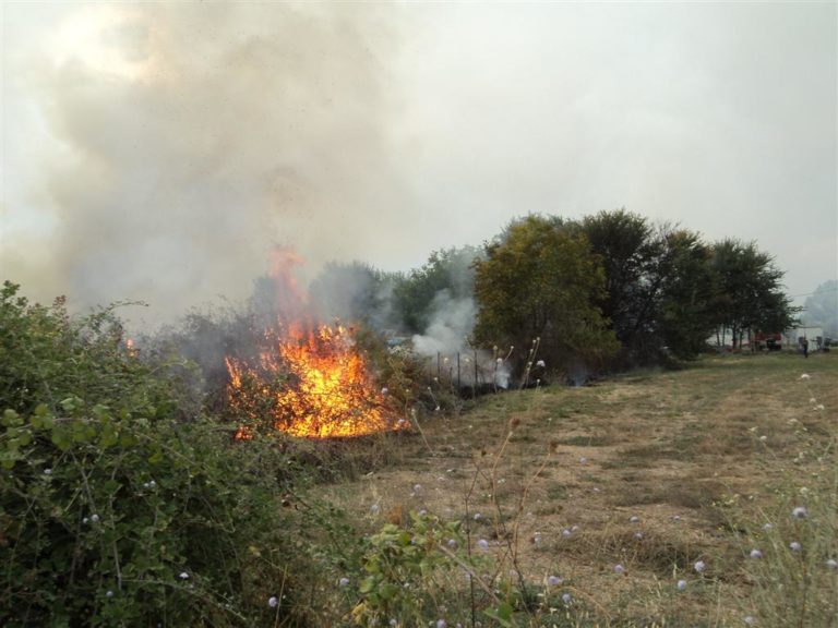Πυρκαγιά προκάλεσε ζημιές σε μάντρα αυτοκινήτων στον Ισθμό
