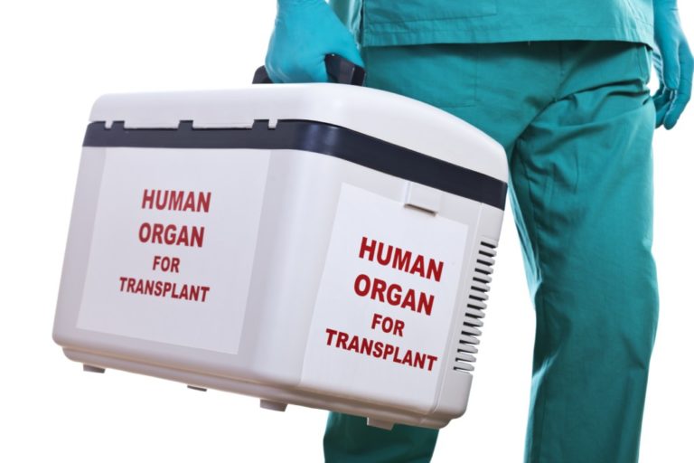Δημιουργία βιοεκτυπωμένων ανθρώπινων οργάνων για μεταμοσχεύσεις