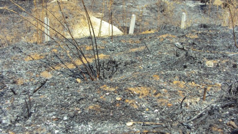 Αλεξανδρούπολη: Υπό έλεγχο φωτιά σε οικοπεδική έκταση στη Ν. Χιλή