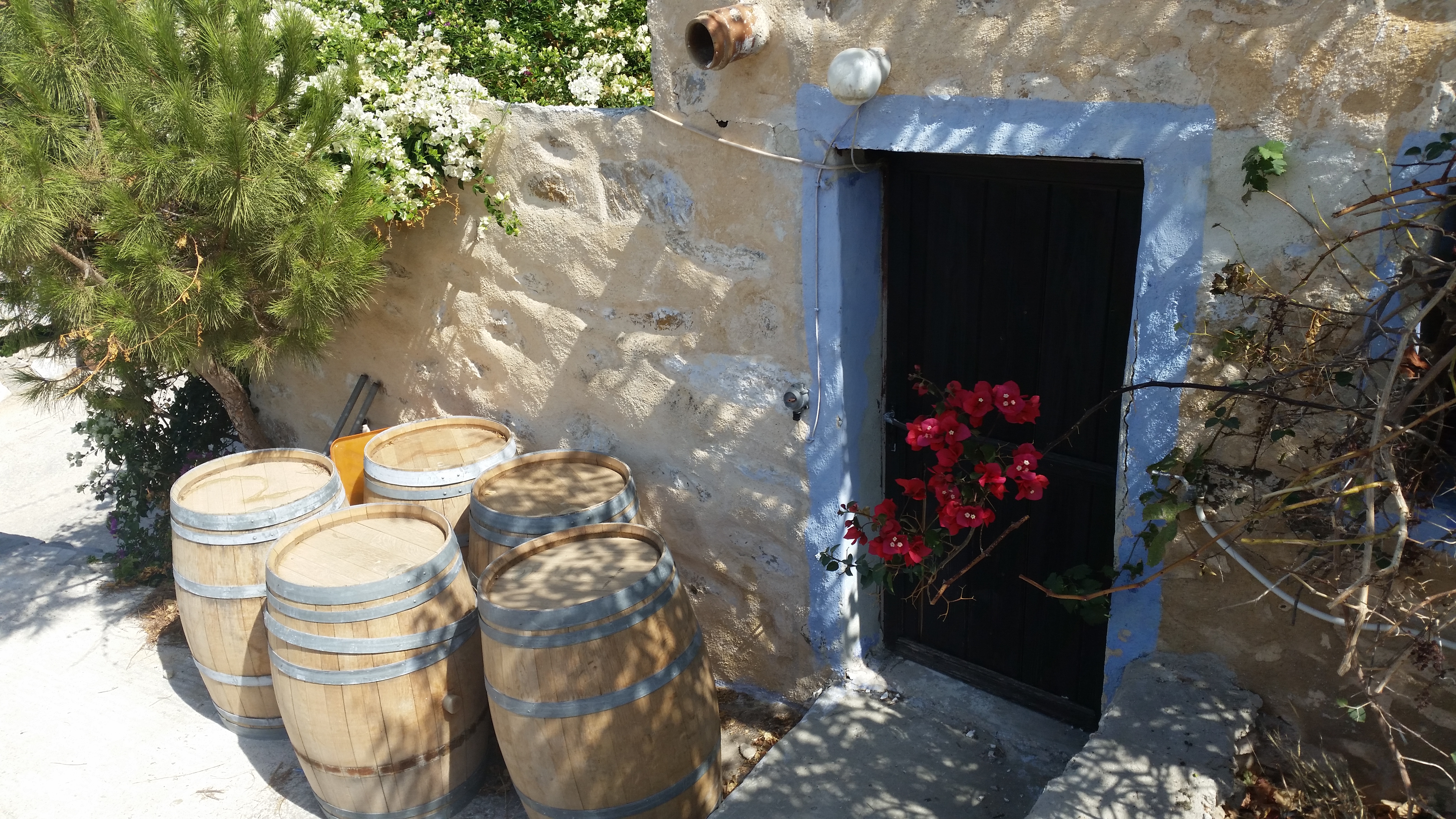 syros-festival-food-wine