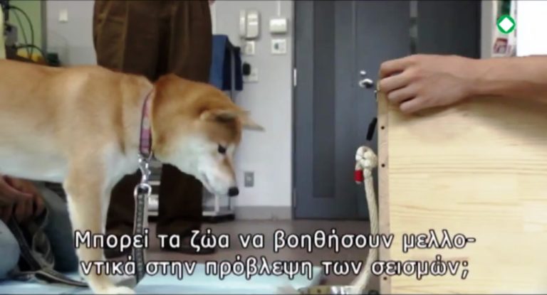 “Η ΕΚΤΗ ΑΙΣΘΗΣΗ ΤΩΝ ΖΩΩΝ”, ντοκιμαντέρ στην ΕΡΤ3 (trailer)