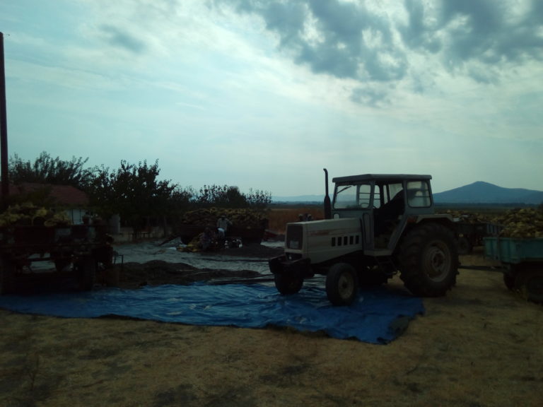 Κομοτηνή: Κάτω στης Ροδόπης τ’ αλωνάκια