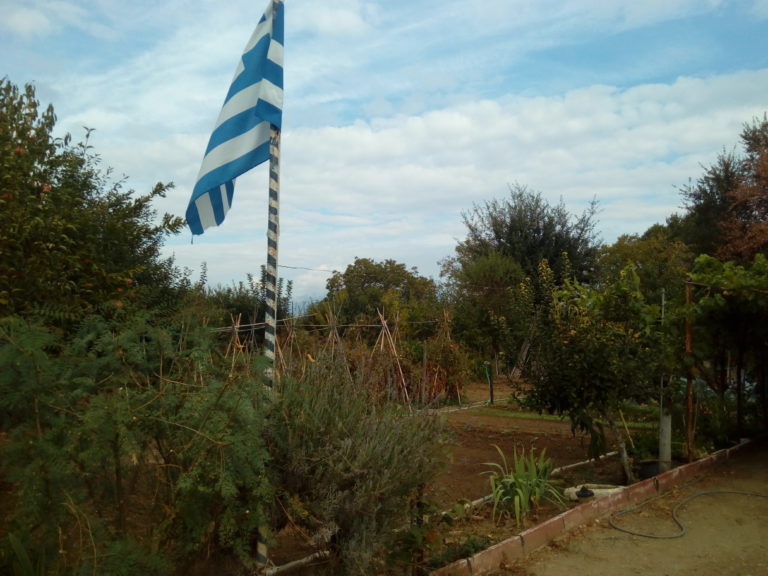 Κομοτηνή: Θα σε ξαναβρώ στους μπαξέδες…